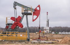 Илья Икан и Александр Ляхов приняли участие в совещании по вопросам развития минерально-сырьевой базы страны