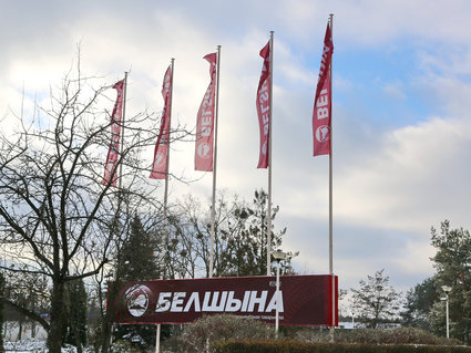 «Белшину» посетила делегация из Палестины