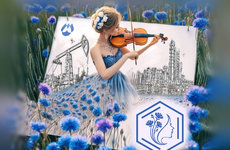 Подведены итоги отраслевого этапа республиканского конкурса «Женщина года — 2025»