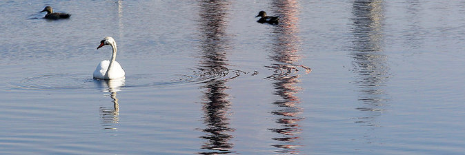 Сокращение выбросов парниковых газов должно стать приоритетной задачей для бизнеса и предприятий 