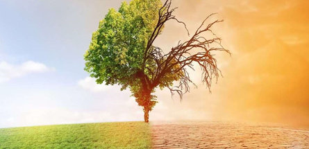 Изменения климата на Земле неизбежны