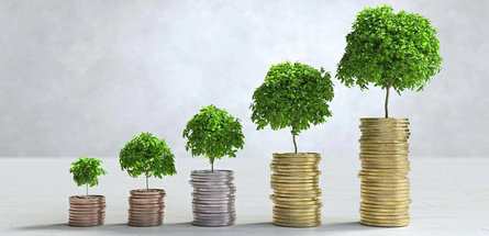 В Беларуси развивается зеленое финансирование проектов
