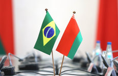 Экспортные возможности «Белнефтехима» и «Беллегпрома» представлены в Бразилии