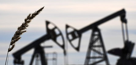 НПЗ Германии сокращают производство топлива после запрета импорта нефти из России