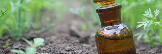 Инновационный завод жидких удобрений может появиться в Татарстане