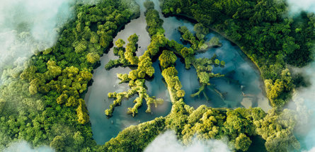 Карбоновых полигонов в России станет больше