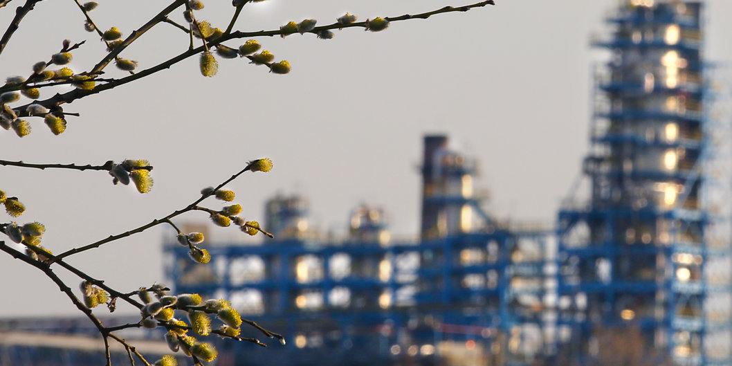 Председатель Витебского облисполкома называет нефтехимию в числе драйверов развития региона