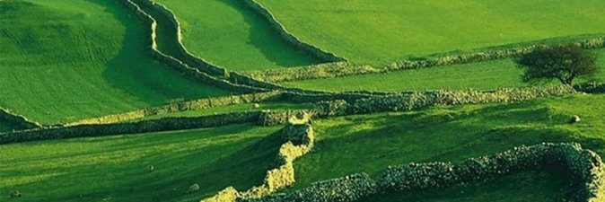 «Европейский зеленый курс» изменит сельское хозяйство Старого Света