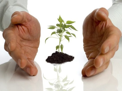 ПРОЦЕСС ПОШЁЛ: прогрессивность декрета №7 «О развитии предпринимательства»