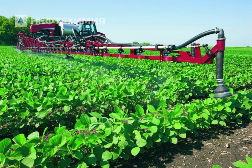 НОВЫЙ ПРОДУКТ ДЛЯ БОРЬБЫ С СОРНЯКАМИ