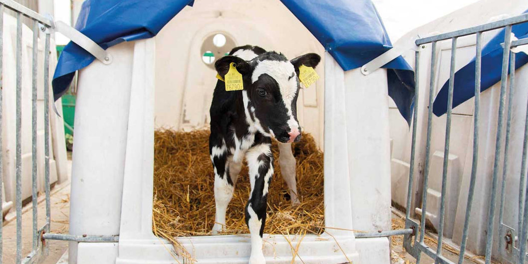 Названы лидеры в аграрном секторе нефтехимической отрасли