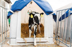 Названы лидеры в аграрном секторе нефтехимической отрасли