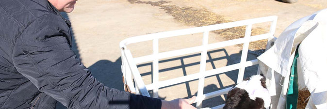 Весенний урожай наград