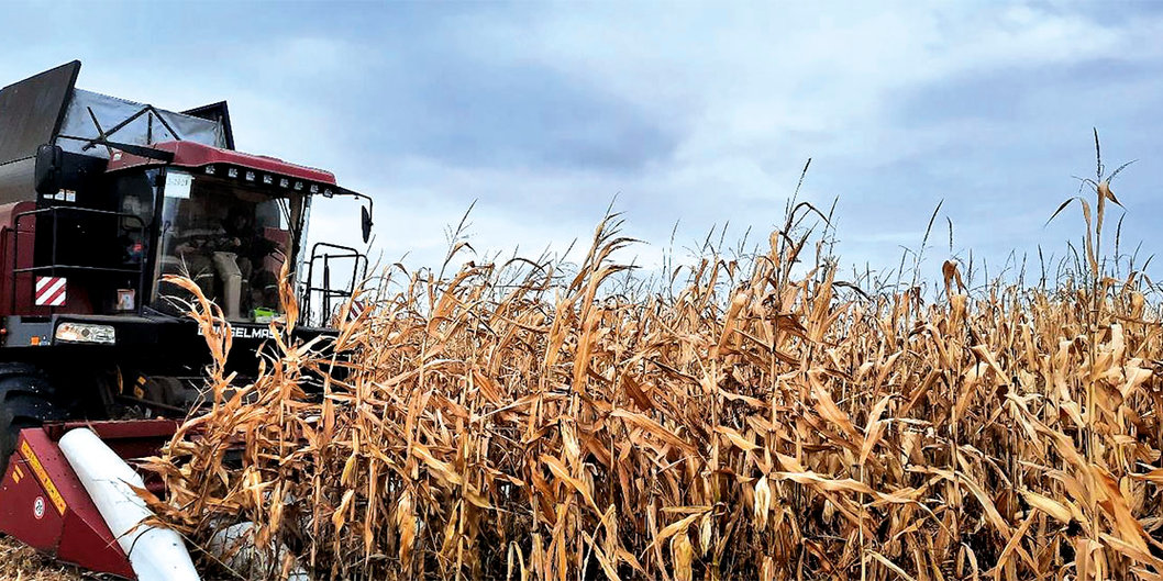 Высокий уровень работы закрепленных за «Белнефтехимом» сельхозпредприятий отметил Петр Пархомчик