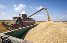 Сельхозорганизации нефтехимического комплекса значительно улучшили результаты уборочной кампании