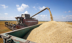 Сельхозорганизации нефтехимического комплекса значительно улучшили результаты уборочной кампании