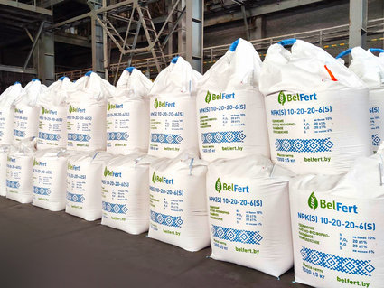 Силу и пользу NPK-удобрений обсудили на Гомельском химзаводе