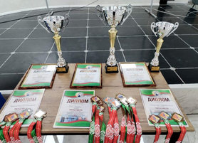 Подведены итоги 20‑й Республиканской зимней спартакиады работников нефтехимического комплекса