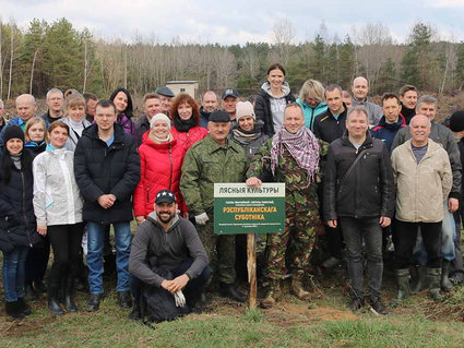 ЛЕСНАЯ ПОЛОСА — ВСЕМУ ПОЛЮ КРАСА