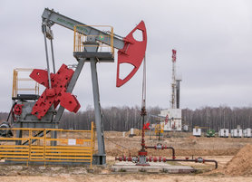 Илья Икан и Александр Ляхов приняли участие в совещании по вопросам развития минерально-сырьевой базы страны