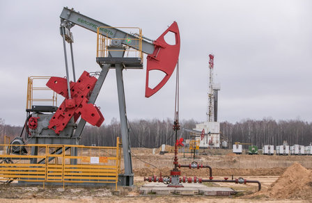 Илья Икан и Александр Ляхов приняли участие в совещании по вопросам развития минерально-сырьевой базы страны