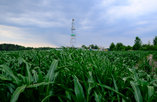 В июле фонд скважин «Белоруснефти» пополнился новыми объектами