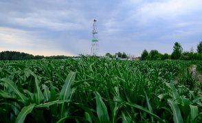 В июле фонд скважин «Белоруснефти» пополнился новыми объектами