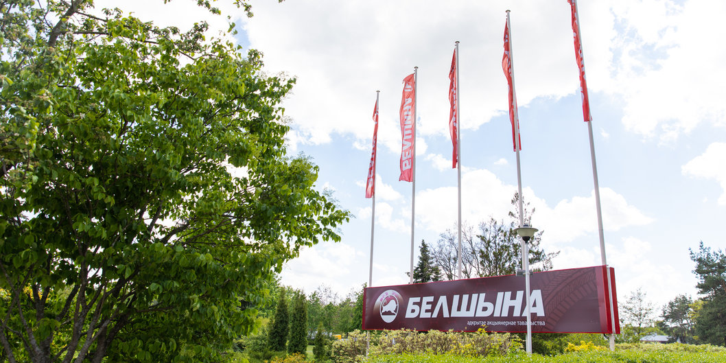 Мегашины для мегатехники