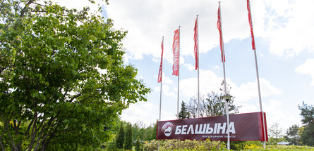 Мегашины для мегатехники