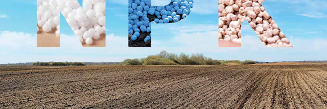 МАКСИМАЛЬНЫЙ ЭФФЕКТ