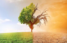 Изменения климата на Земле неизбежны