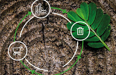 ЦИРКУЛЯРНАЯ ЭКОНОМИКА И ЗЕЛЕНЫЙ БАНКИНГ