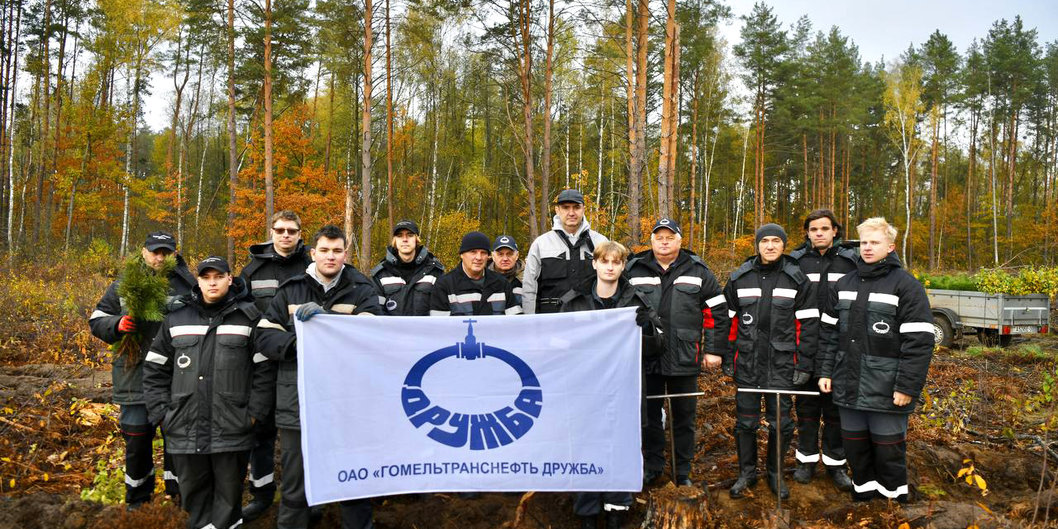 Работники ОАО «Гомельтранснефть Дружба» высадили тысячи саженцев сосны