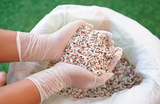 Названы лидеры по поставкам удобрений в Индию