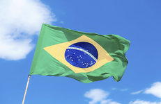 Бразилия увеличила импорт нефтепродуктов из России за август