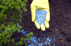 Поставки белорусских калийных удобрений в Индию сократились