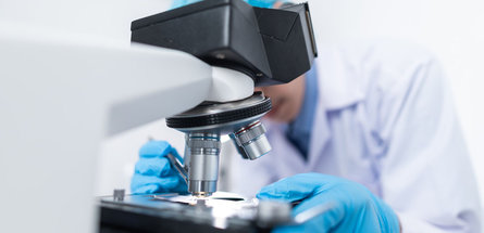 ИССЛЕДОВАНИЯ — ТЕХНОЛОГИИ — ПРОИЗВОДСТВО. Современная наука нацелена не только на фундаментальные, но и на прикладные исследования