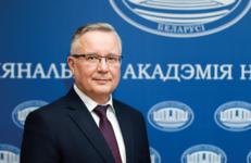 Через тернии к полимерам