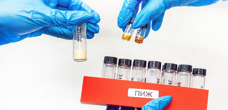 Импортозамещающие материалы для зеленой химии разработали в российском университете