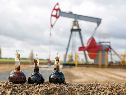 СКОЛЬКО НЕФТИ В НЕДРАХ БЕЛАРУСИ?