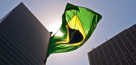 BASF поможет бразильским стартапам