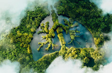 Карбоновых полигонов в России станет больше