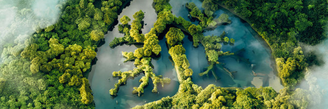 Карбоновых полигонов в России станет больше