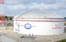 «Дружба» с импортозамещением