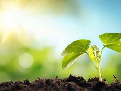 Минприроды РФ расширило список веществ, загрязняющих воздух