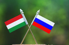 Венгрия против санкций в области газа и нефти