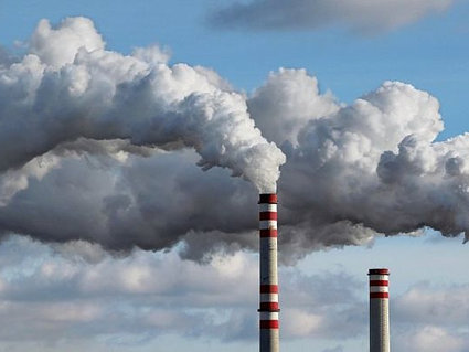 На пути к углеродной нейтральности Киргизию поддержит Южная Корея