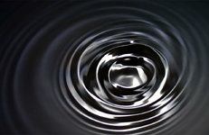 В Беларуси с 1 декабря повышены экспортные пошлины на нефть и нефтепродукты