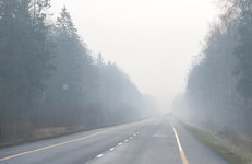 А дорога серою лентою вьется...