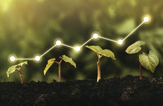 Мировое потребление удобрений к 2030 году вырастет на 23 млн тонн